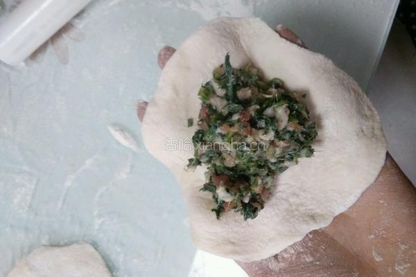 荠菜肉包子的做法图解12
