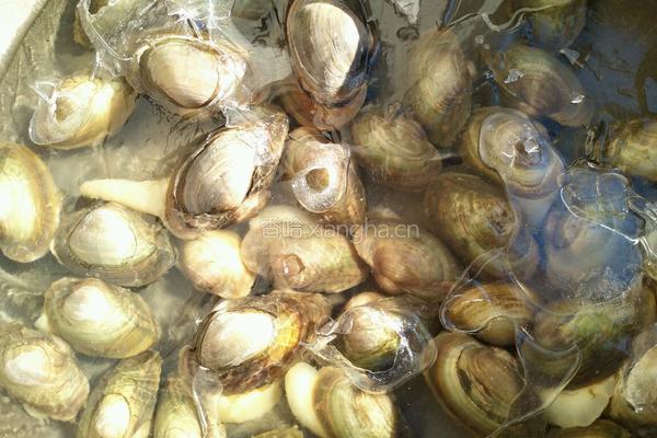 韭菜河蚌馅肉饼的做法图解1