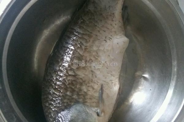 鲫鱼炖豆腐粉条的做法图解1
