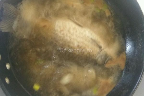 鲫鱼炖豆腐粉条的做法图解4