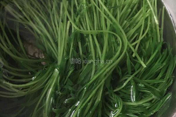 松柳苗拌干豆腐丝的做法图解3