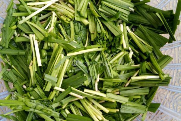 螺蛳肉炒韭菜的做法图解4