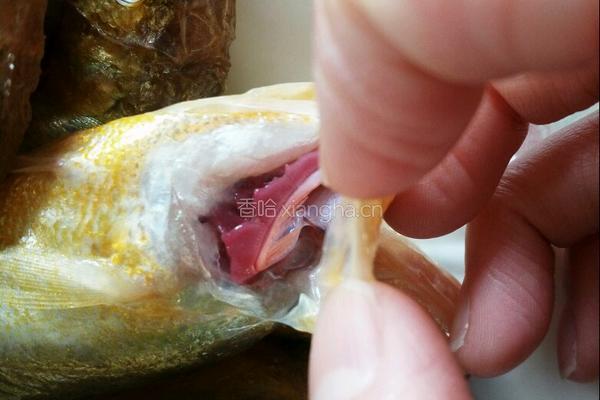 香酥梅童鱼的做法图解2