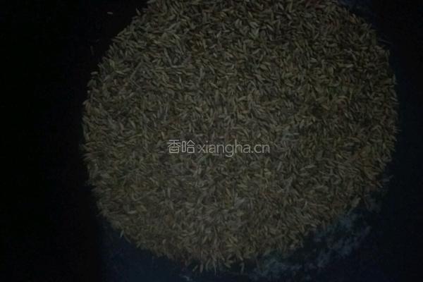 纯手工孜然粉的做法图解4