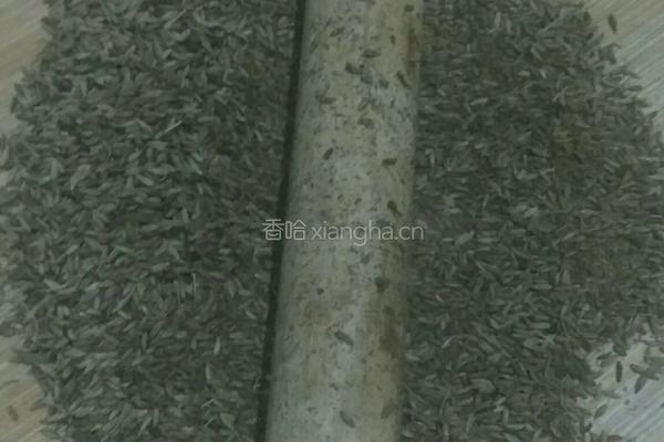 纯手工孜然粉的做法图解6