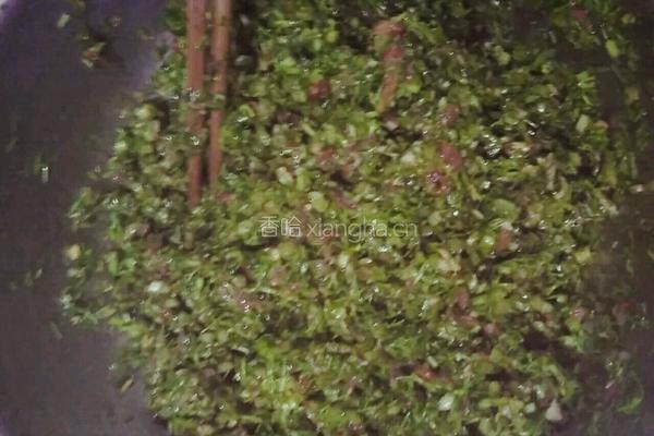 树叶包子……茴香肉馅的做法图解8