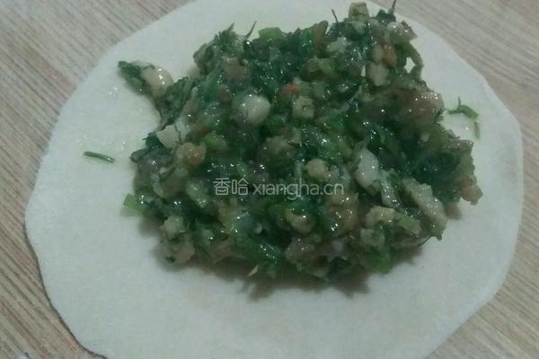 茴香肉馅饺子的做法图解14
