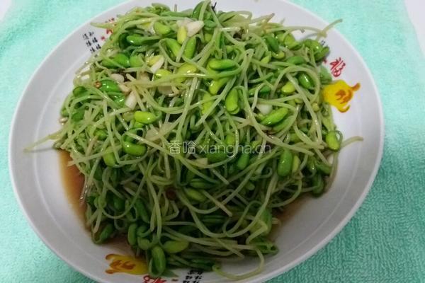 凉拌豆苗