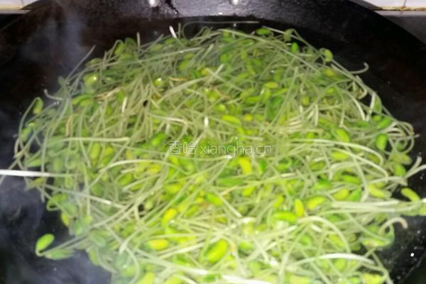 凉拌豆苗的做法图解3