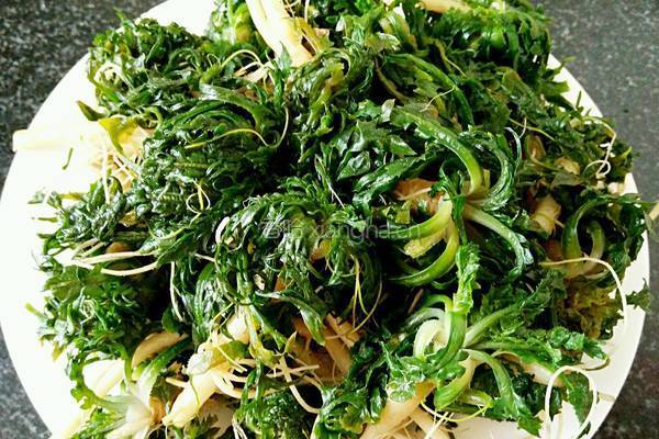 荠菜肉饺子馅的做法图解3