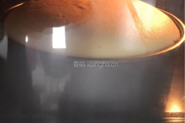 蔓越莓干微风蛋糕的做法图解11