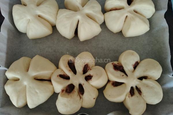 豆沙面包的做法图解13