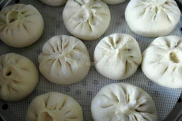 韭菜鸡蛋虾皮素包的做法图解17
