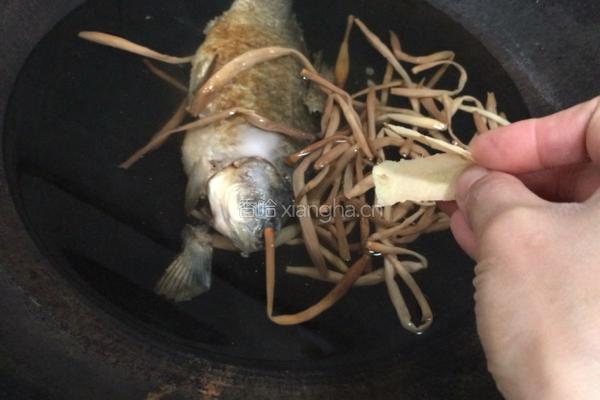 黄花菜鲫鱼汤的做法图解5