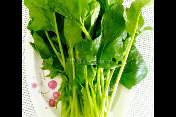 菠菜汁肉包的做法图解1