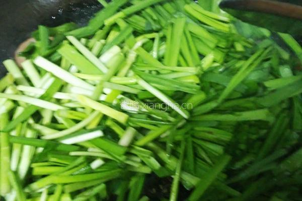 春暖花开一一炒春韭的做法图解10