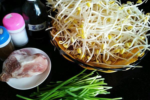 爆炒黄豆芽的做法图解1