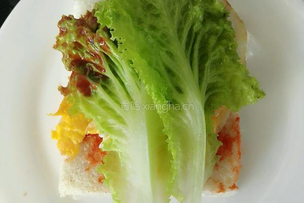 早餐三明治的做法图解8