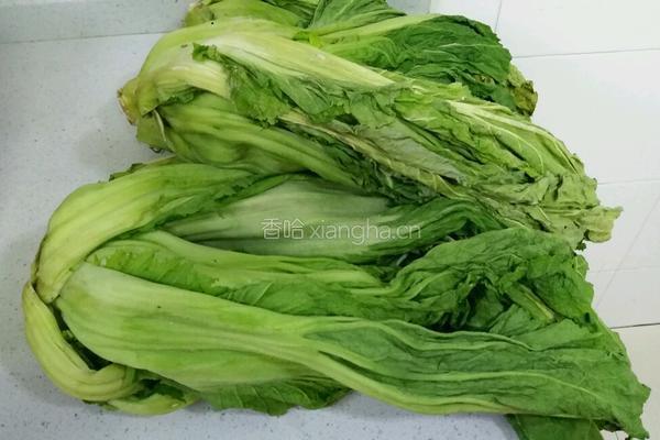 自制芥菜酸菜的做法图解1