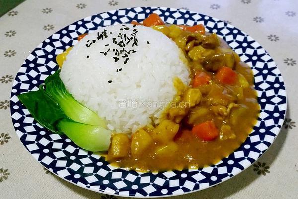 咖喱鸡肉饭的做法图解11
