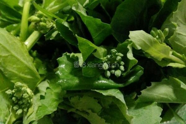 炝炒菜苔的做法图解1