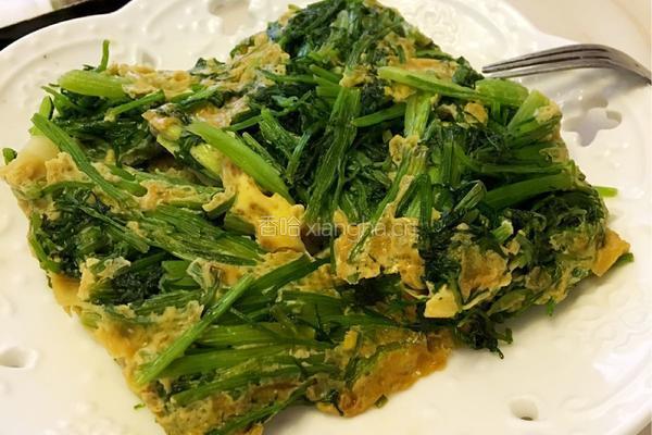 茴香苗炒鸡蛋的做法图解7