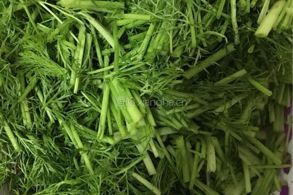 茴香苗炒鸡蛋的做法图解1
