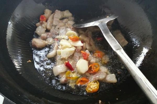 酸菜炒五花肉的做法图解10