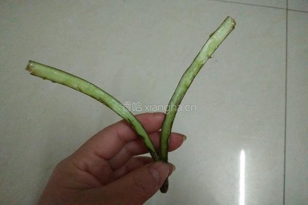 炒蕨菜的做法图解3