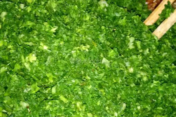 荠菜水饺的做法图解6