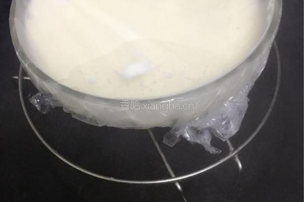 双皮奶的做法图解6
