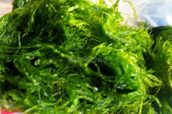 海苔煎饼的做法图解1