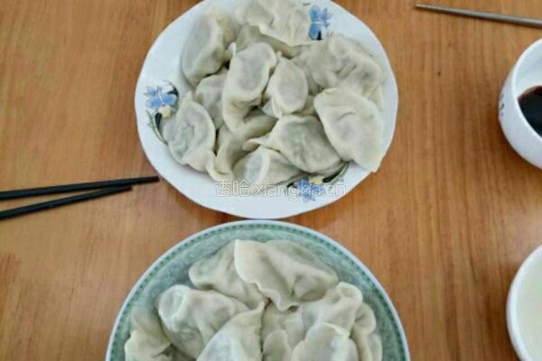 芽苗菜白菜肉馅