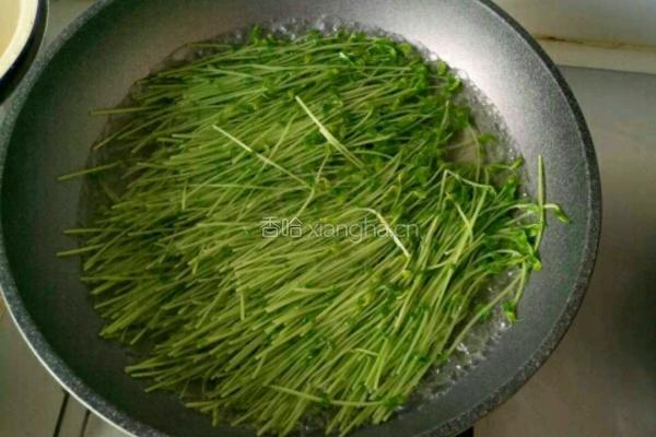 芽苗菜白菜肉馅的做法图解1