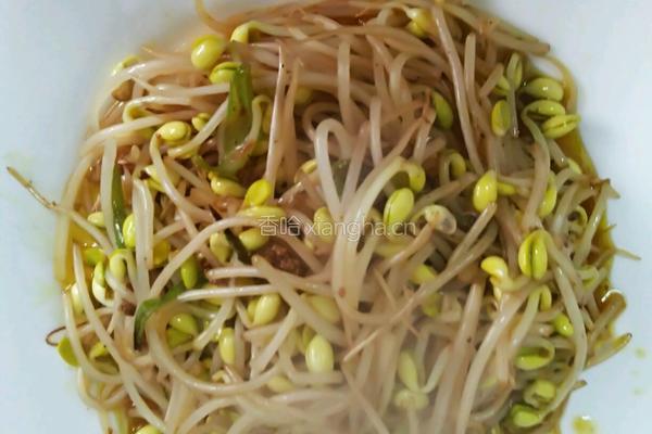肉末豆芽菜的做法图解11