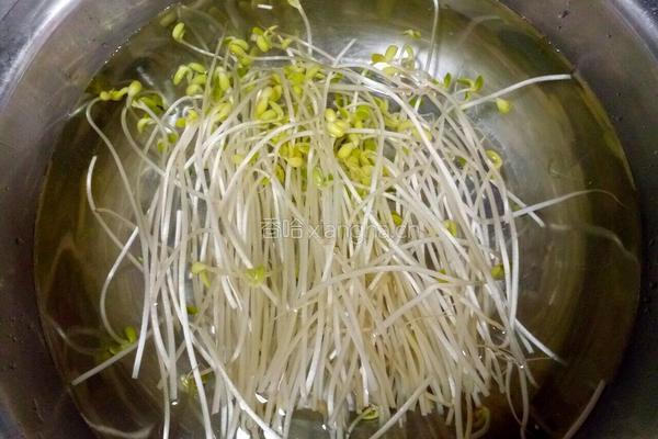 黄豆芽黄瓜炒饭的做法图解1