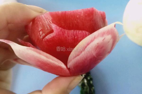 荷花（）莲花的做法图解11