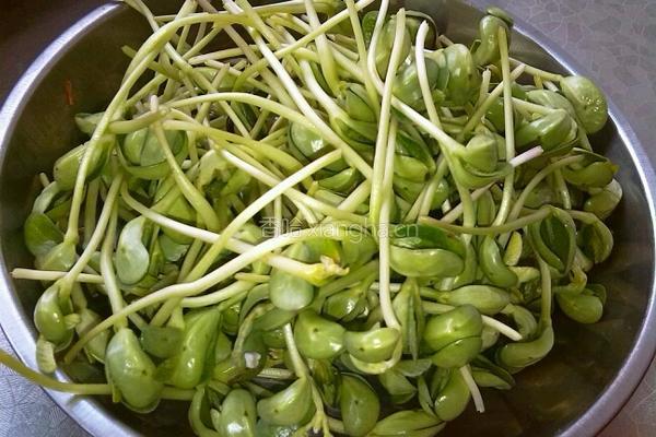 豆苗拌粉丝的做法图解1