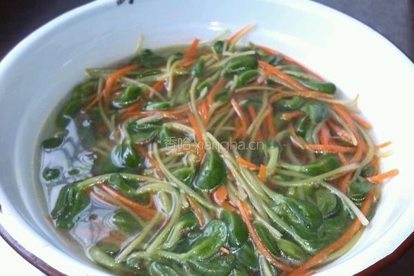 豆苗拌粉丝的做法图解5