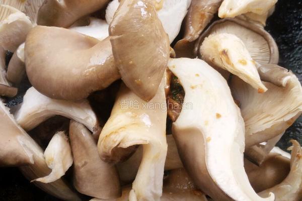 肉丝蘑菇的做法图解7