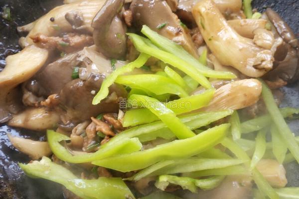 肉丝蘑菇的做法图解9