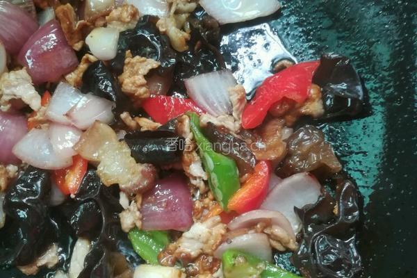 洋葱木耳炒肉的做法图解11