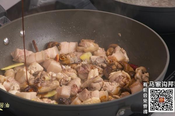 CCTV7食尚大转盘 山蘑菇炖柴鸡的做法图解5