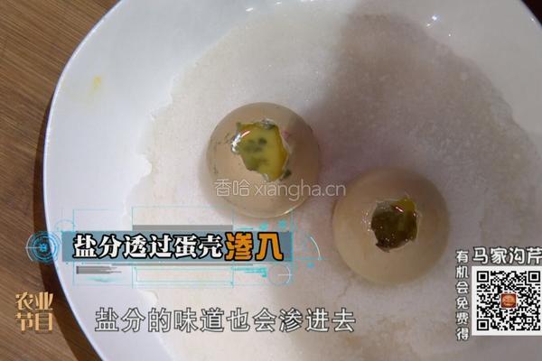 CCTV7食尚大转盘 山蘑菇炖柴鸡的做法图解12