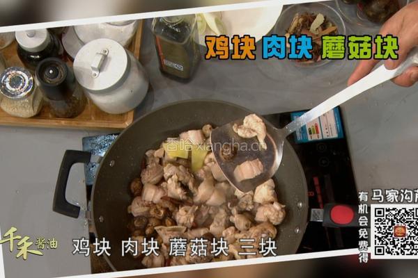 CCTV7食尚大转盘 山蘑菇炖柴鸡的做法图解14