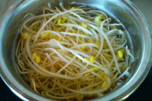 凉拌黄豆芽的做法图解5