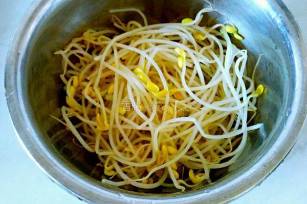 凉拌黄豆芽的做法图解7