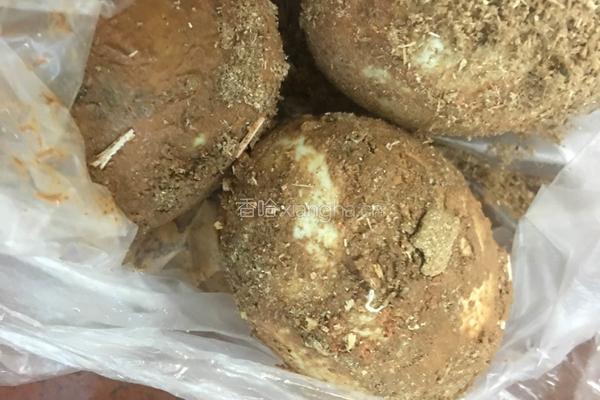 枸杞叶瘦肉咸蛋汤的做法图解2