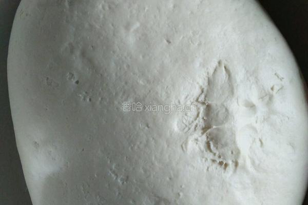肉龙的做法图解1