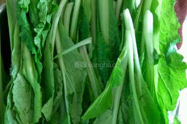肉末小白菜的做法图解1
